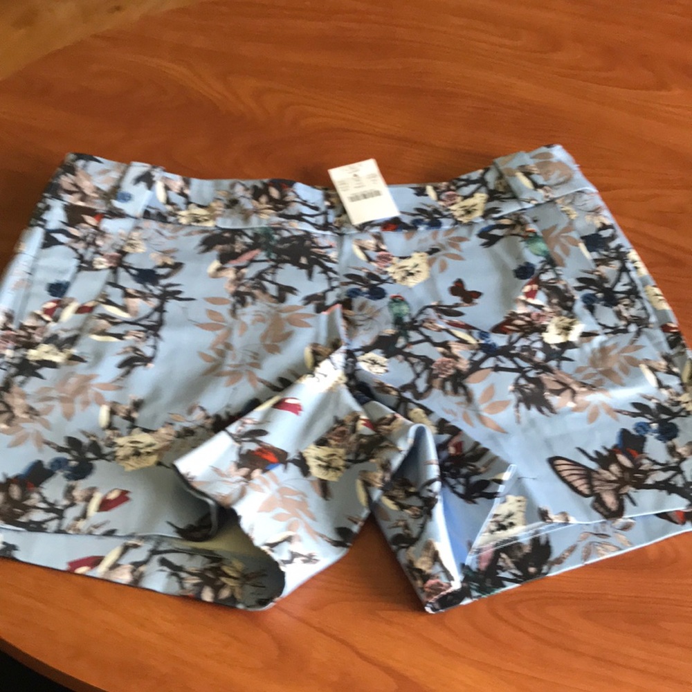New Jcrew shorts, size 8